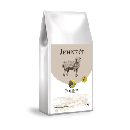 jehncei grafikaa