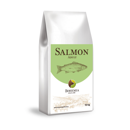wild salmon