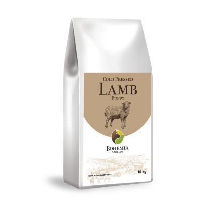 cold puppy lamb
