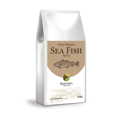 cold sea fish