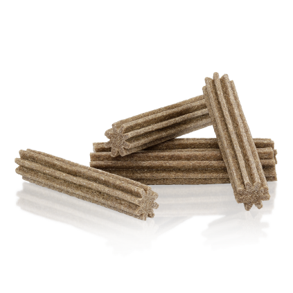 probiotics cinnamon teeth delights