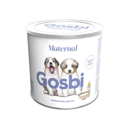 maternal dog