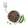2065 2 fellows hypoalergenni granule pro psy hypo superstar 2 kg