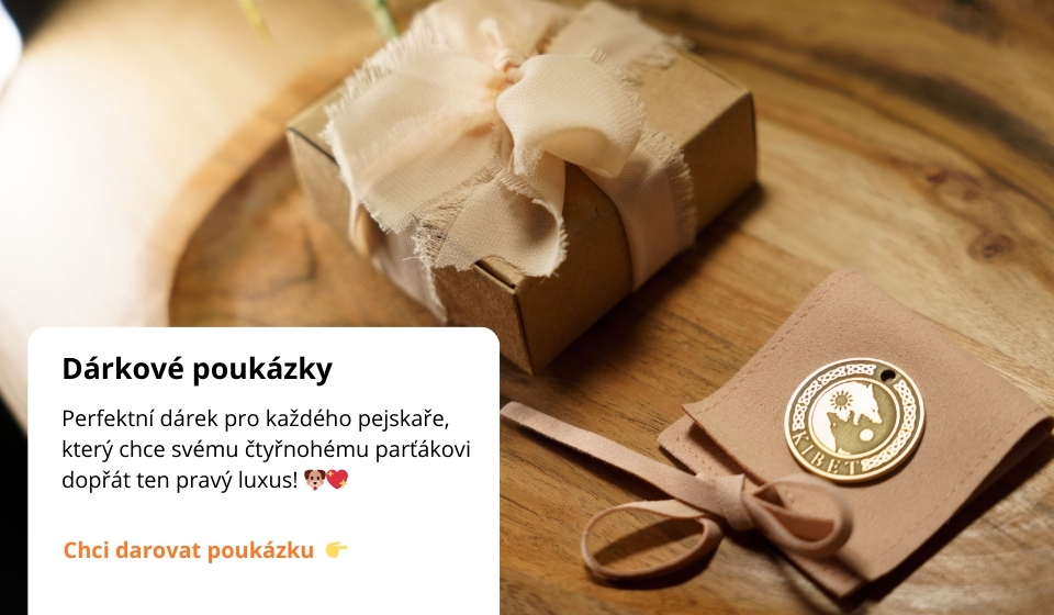 Dárkové poukázky banner