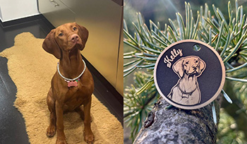 psi-id-psi znamka z fotky