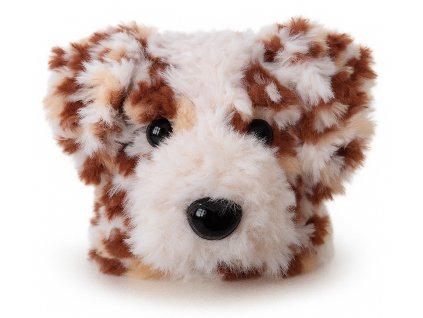 Australský ovčák-red merle