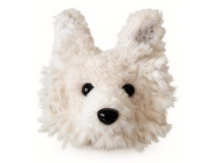 Čivava-dlouhosrstá, bílá