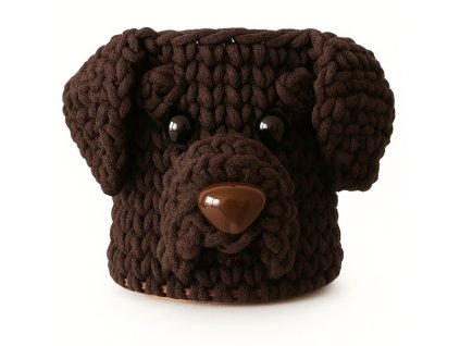 Labradorský retrívr-hnědý