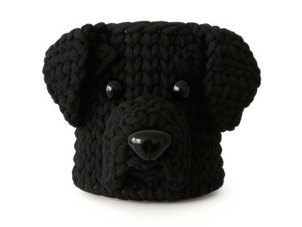 Labradorský retrívr-černý