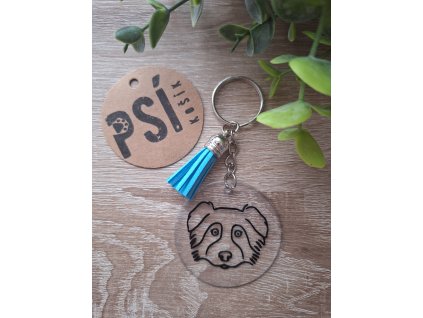 Australský ovčák II.