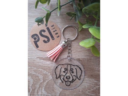 Bernský salašnický pes