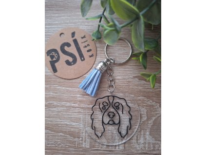 Kavalír King Charles španěl