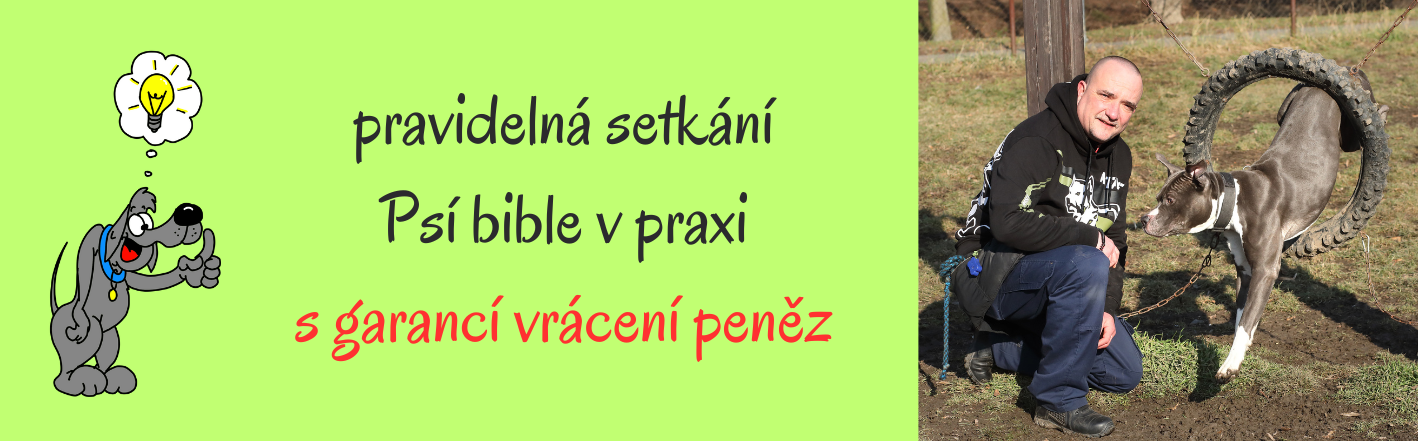Psí bible v praxi s GARANCÍ vrácení peněz