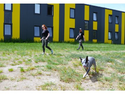 Víkendový seminář se psem 🐕🐶🐕‍🦺🐩  Moderní trénink psa bez omezení