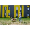 Víkendový seminář - moderní trénink PSA se psem 🐕🐶🐕🦺🐩  Víkend s moderním tréninkem psa