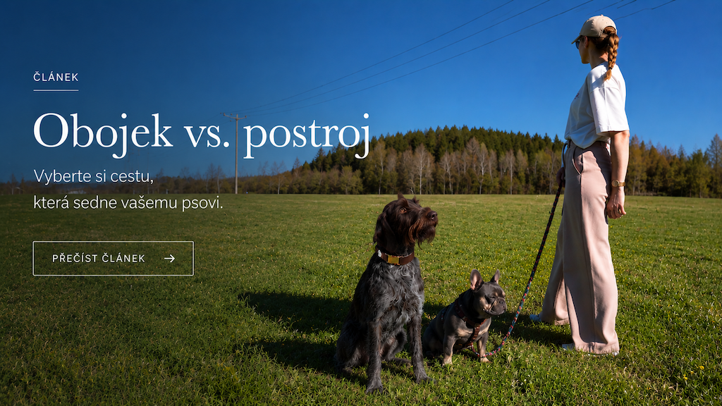 OBOJEK VS. POSSTROJ