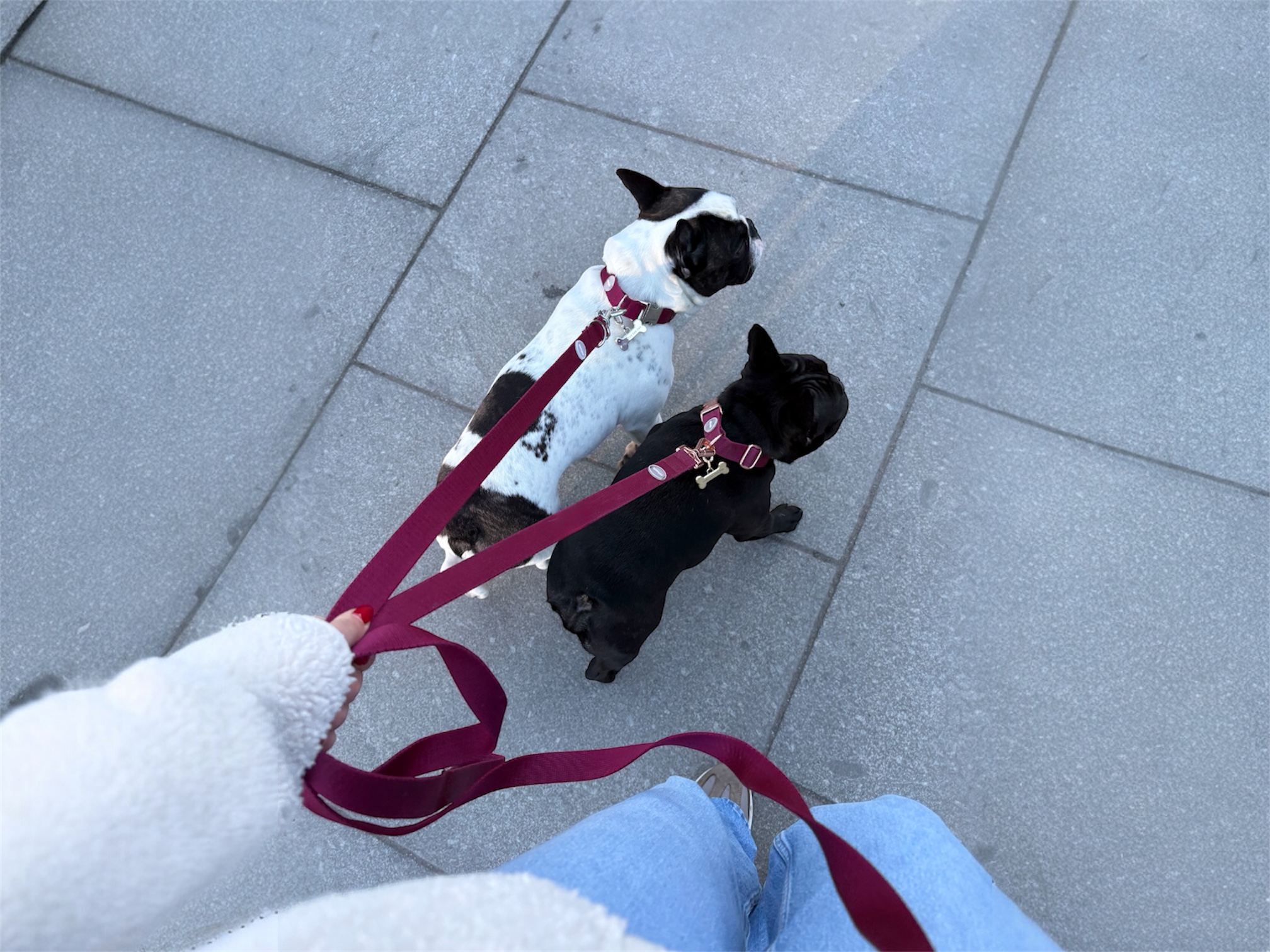 Photoroom_20260312_095338