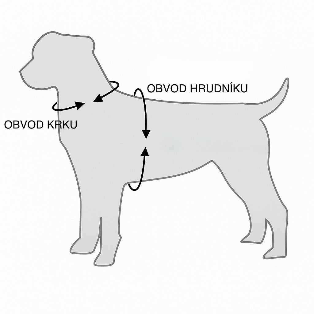 obvod
