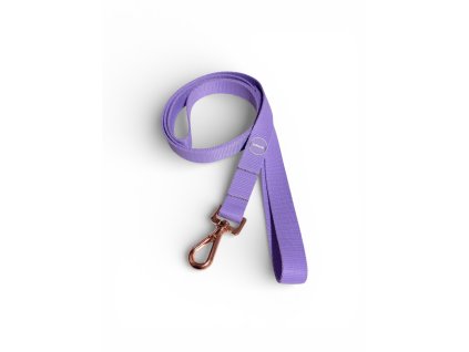 Photoroom 20260206 212359