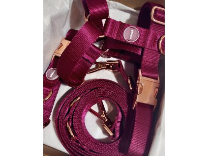 1B7B0A89 A47B 434D B5FE C57AE2F63F12