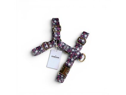 Photoroom 20260419 193016