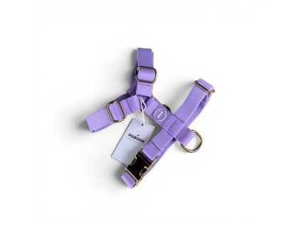 Photoroom 20260419 192535 2