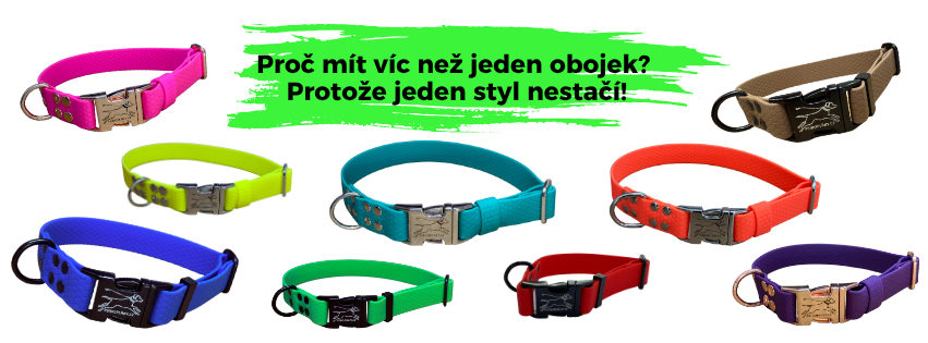 Proč mít víc než jeden obojek? Protože jeden styl nestačí!