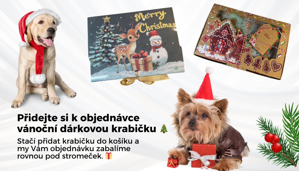Vánoční dárková krabička