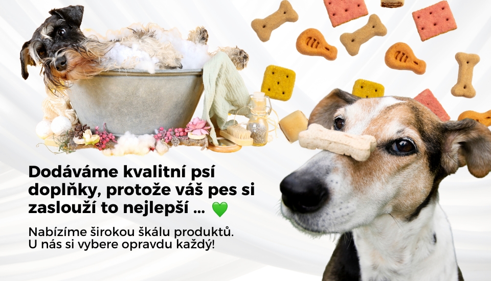Psí doplňky na jedno místě