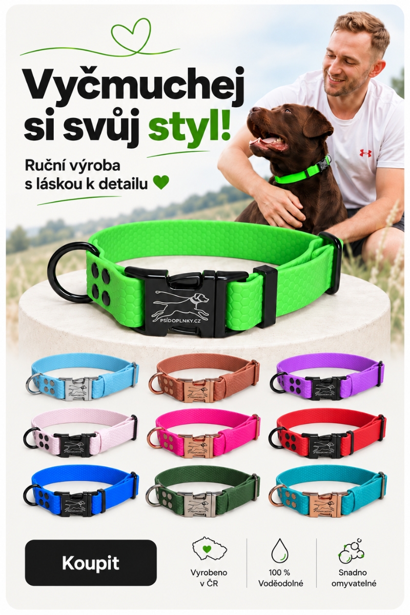 Aktin slider 1