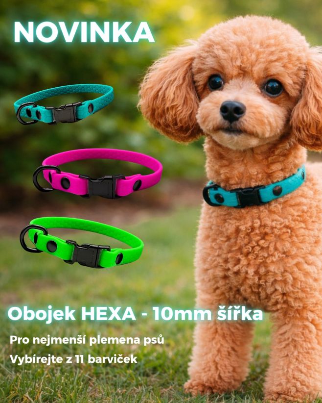 NOVINKA 🐶💗 Konečně máme obojky i pro ty úplně nejmenší pejsky 🤗 Dlouho jste se ptali… a my konečně vyslyšeli 🐶 👉 Obojek...