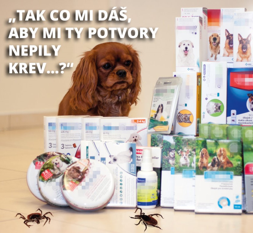 Jak vybrat ty správná antiparazitika?