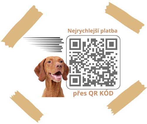 Nejrychlejší způsob úhrady přes QR kód