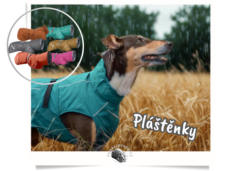 https://www.psikralovstvi.cz/plastenky-pro-psy/
