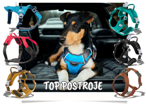 Nejoblíbenější postroje pro psy Hurtta a Non-stop Dogwear