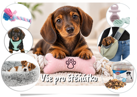 Kompletní výbava pro štěně - tipy, poradenství, doporučení