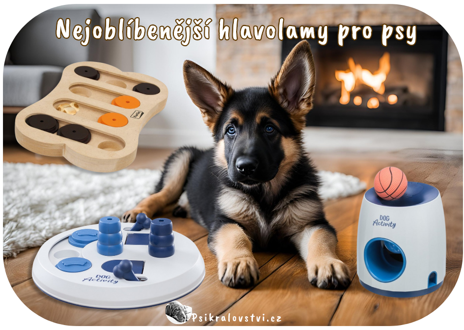 Nejžádanější hlavolamy pro psy, Logistické hry pro psy tzn. psí hlavolamy jsou hitem a velkým trendem posledních let. Psa zaručeně zabaví.