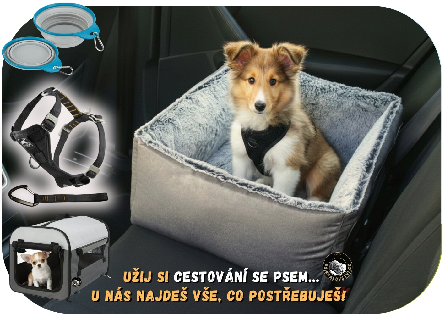 Potřeby pro cestování se psem