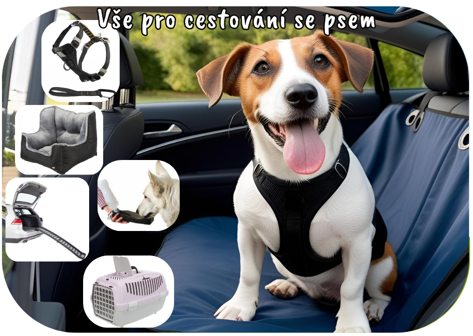 Potřeby pro cestování se psem