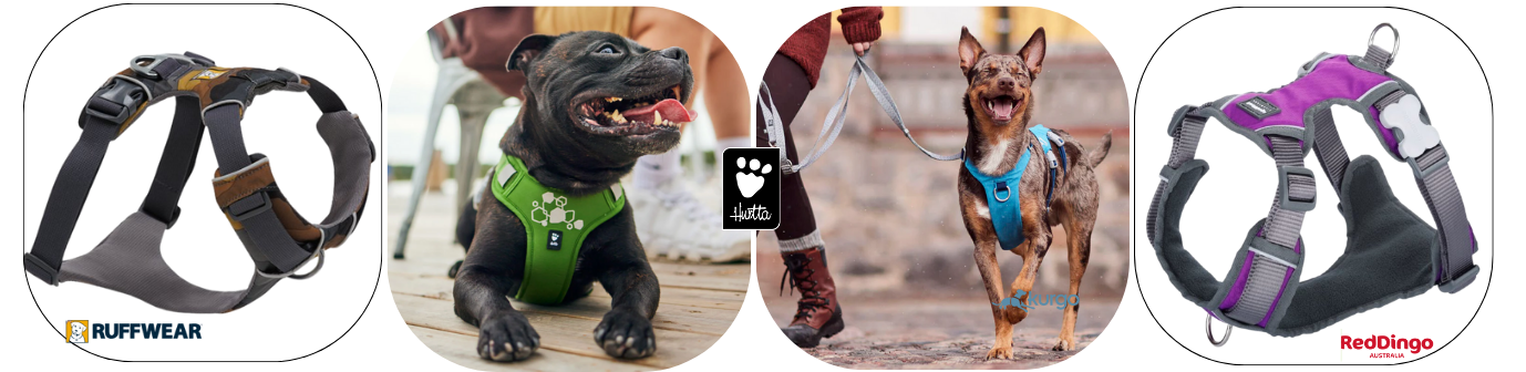 Postroje pro psy HURTTA WARRIOR a LINE NON-STOP DOGWEAR nejprodávanější nejlepší kvalita