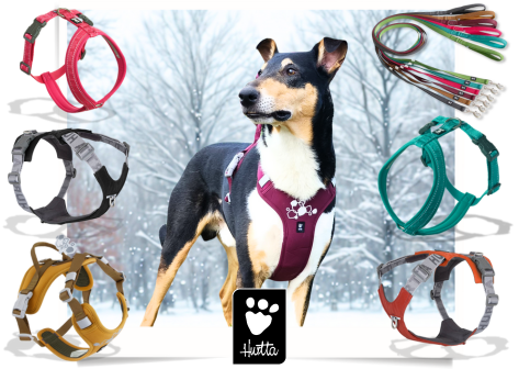 HURTTA je nejoblíbenější značka majitelů psů. Nejvyšší kvalita, originální obojky, postroje a oblečky pro psy.