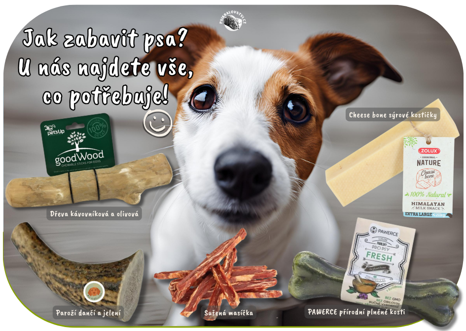 Pawerce plněné kosti přírodní pro psy, Paroží pro psy, olivové a kávové dřevo, sušené maso pro psy, sýrové kosti Cheese bone- vše čím zabavíte psa