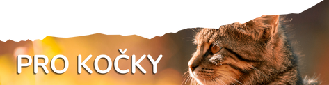 PRO KOČKY