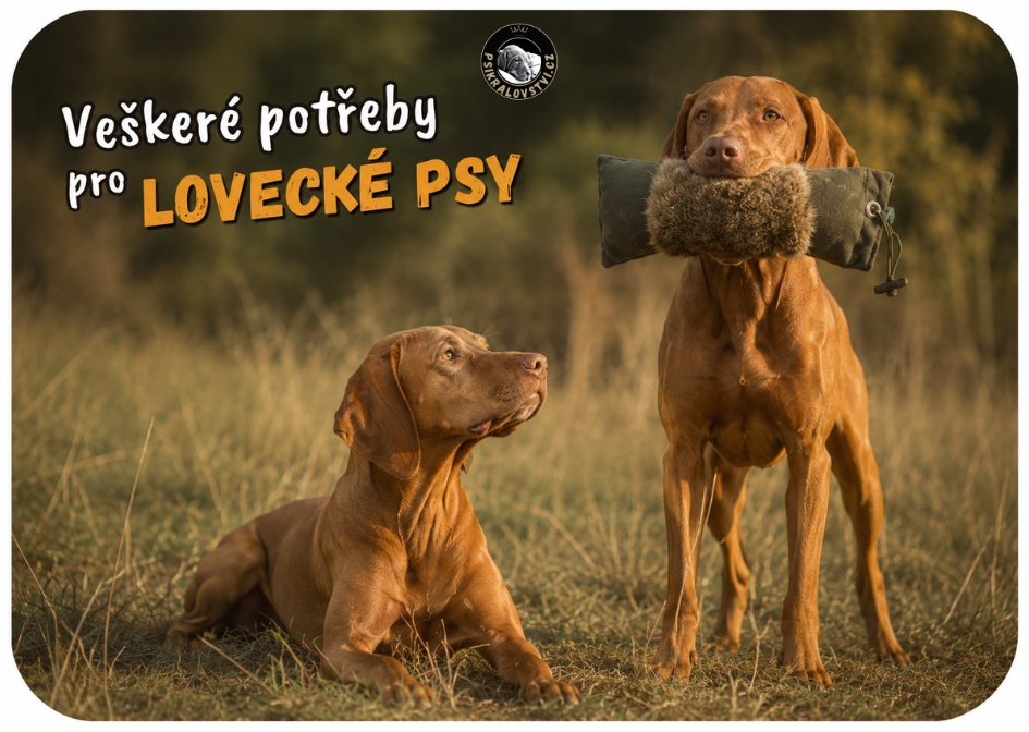 Veškeré potřeby pro lovecké psy - dummy Bracco, vodítka lovecká, píšťalky na psy ad.