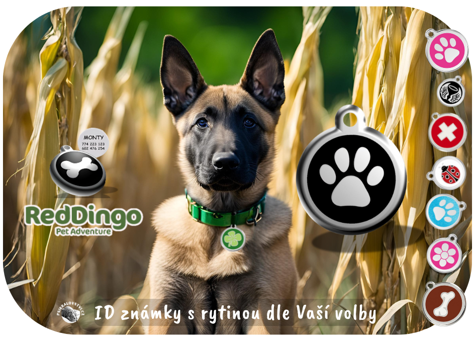 Známky identifikační s rytinou na obojek psa RED DINGO