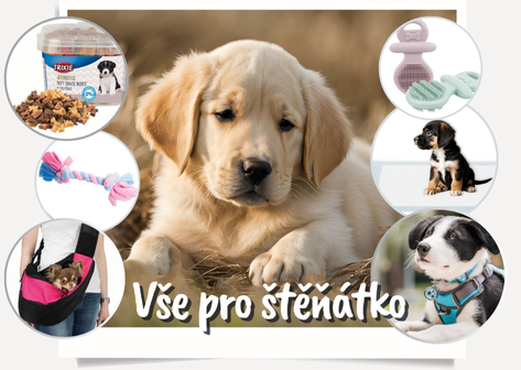 Kompletní výbava pro štěně - tipy, poradenství, doporučení
