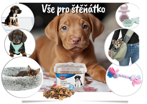 Kompletní výbava pro štěně - tipy, poradenství, doporučení