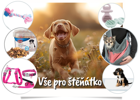 Kompletní výbava pro štěně - tipy, poradenství, doporučení