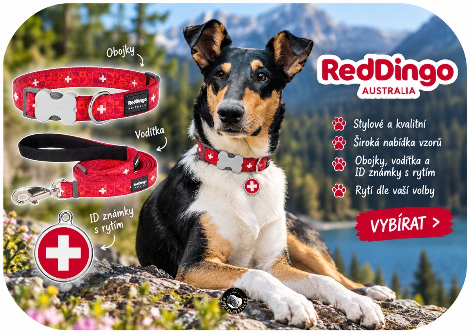 Obojky, postroje, vodítka a ID známky s rytinou  Red Dingo