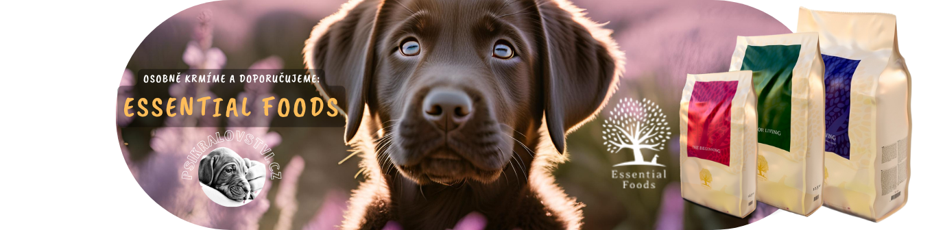 essential-dlouhy-banner-labrador-coko-psikralovstvi-nejlepsi-krmivo-pes_1
